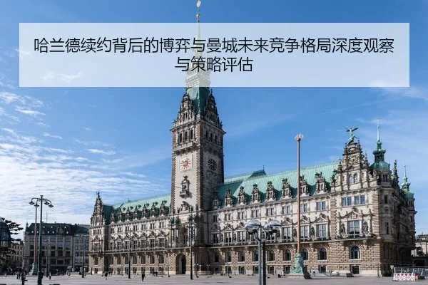 ha-lan-de-xu-yue-bei-hou-de-bo-yi-yu-man-cheng-wei-lai-jing-zheng-ge-ju-shen-du-guan-cha-yu-ce-lve-ping-gu-2-760.jpg